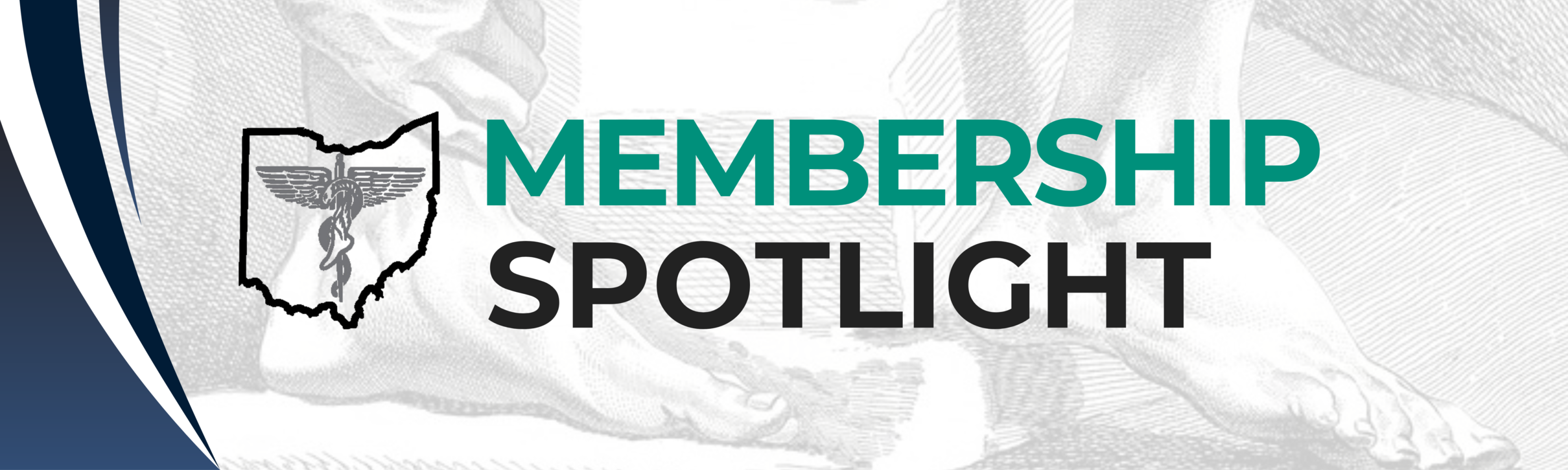 Members Spotlight Cover